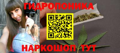 мяу мяу мука Кандалакша