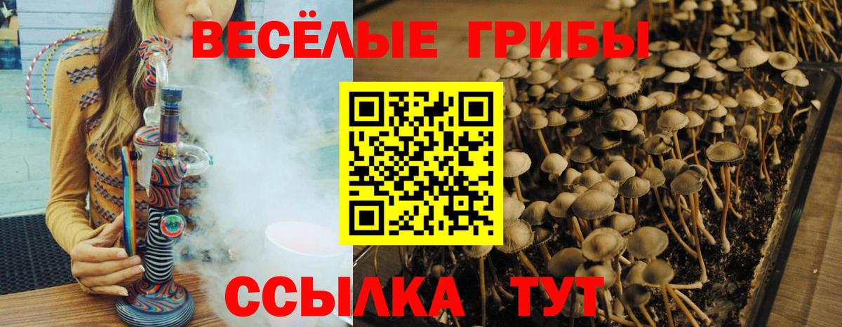 Галлюциногенные грибы прущие грибы  Галлюциногенные грибы мухоморы  Кореновск  Вход с VPN 