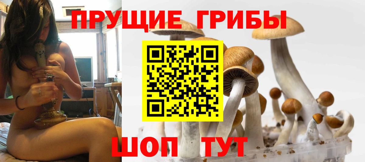 Псилоцибиновые грибы прущие грибы Кореновск